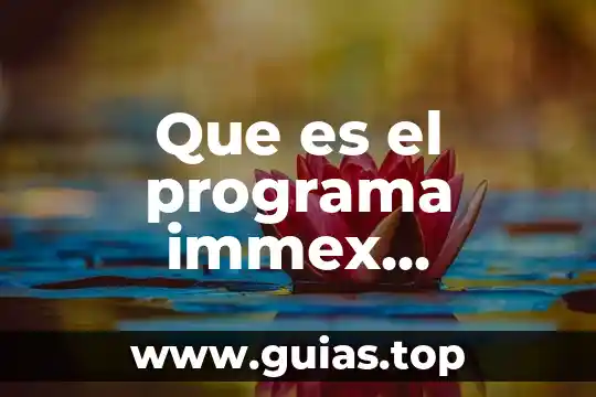 Qué es el programa malware 6 Que es el programa immex objetivo