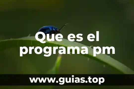 Que es programa de becas 6 Que es el programa pm