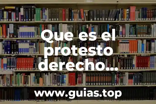 Concepto doctrinal de riesgo en derecho mercantil que es 8 Que es el protesto derecho mercantil