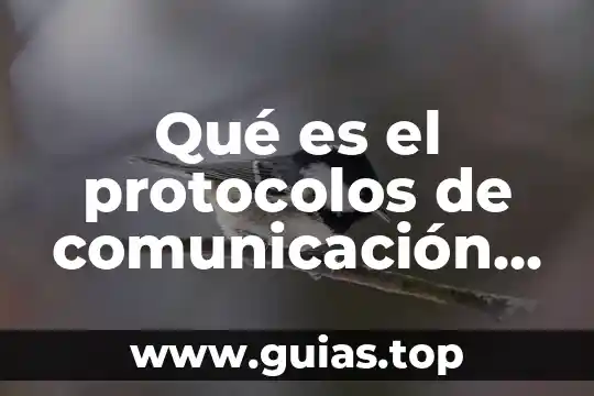 La comunicacion corporativa que es 5 Qué es el protocolos de comunicación de las redes informáticas