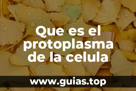 Qué es una célula en radiocomunicación 3 Que es el protoplasma de la celula