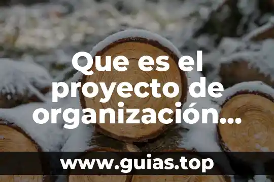 La vida es sueño análisis literario que es 4 Que es el proyecto de organización de la vida cotidiana