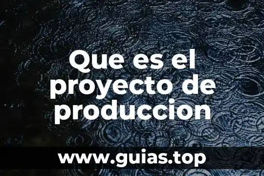 Que es un proyecto de produccion 6 Que es el proyecto de produccion