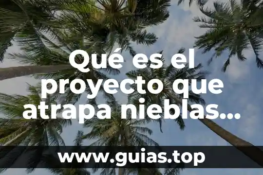 Que es un proyecto y los tipos 8 Qué es el proyecto que atrapa nieblas o caza nieblas
