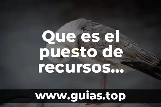 Qué es teoría sintética en los humanos 8 Que es el puesto de recursos humanos