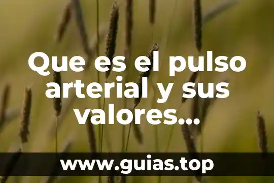 Que es valores de caja 7 Que es el pulso arterial y sus valores normales