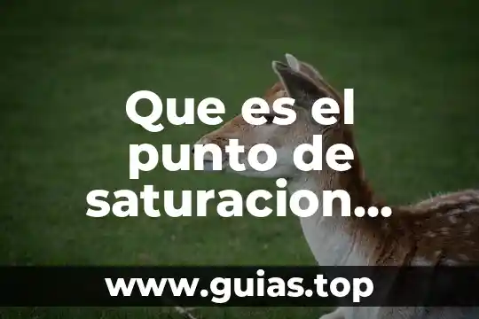 Que es la energia magnetica del sol 4 Que es el punto de saturacion magnetica