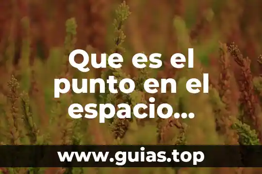 Que es toro de cuerpo geometrico 4 Que es el punto en el espacio geometrico