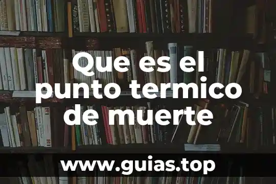 Que es sera duelo a muerte con cuchillos 5 Que es el punto termico de muerte
