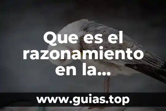 Que es razonamiento unam 3 Que es el razonamiento en la comunicacion mapa mental