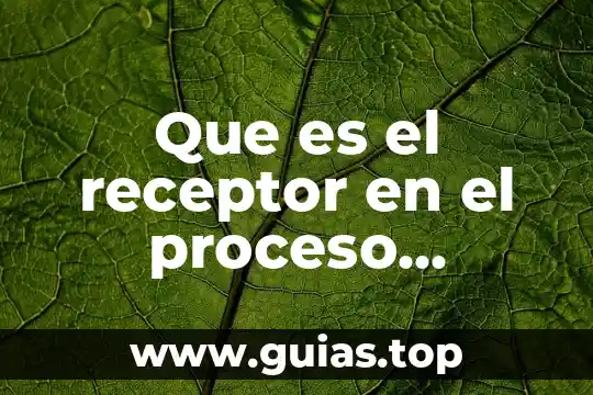 Que es un emisor receptor mensaje codigo canal contexto 6 Que es el receptor en el proceso comunicativo