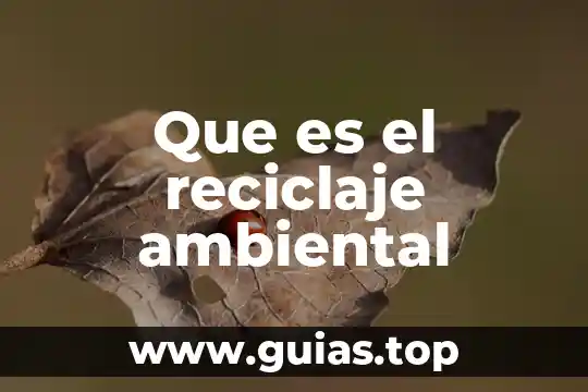 Que es la papelera de reciclaje informatica 8 Que es el reciclaje ambiental