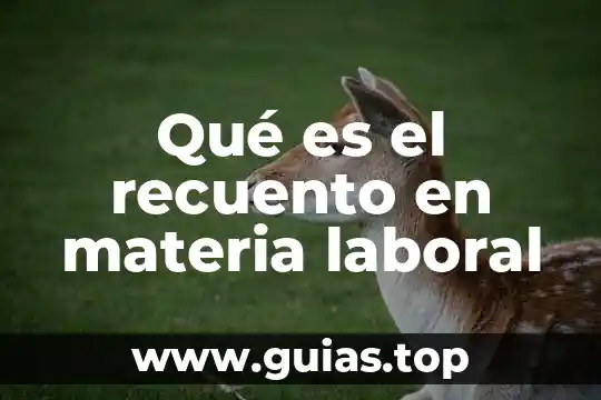Qué es el código de vestimenta laboral 3 Qué es el recuento en materia laboral