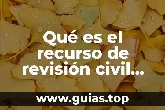 Que es una prueba según el código civil de puebla 3 Qué es el recurso de revisión civil concepto mexicano