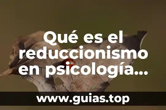 Identidad personal psicología que es 4 Qué es el reduccionismo en psicología educacional