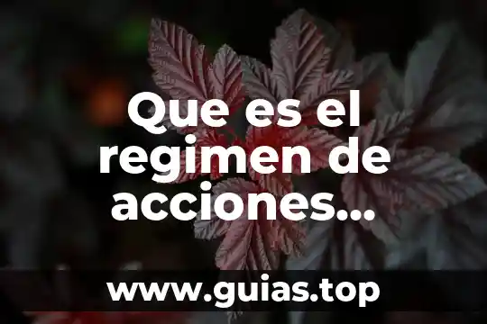 Regimen interno que es 8 Que es el regimen de acciones simplificadas