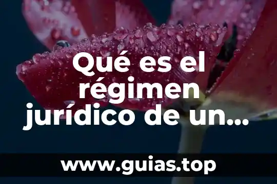Regimen interno que es 4 Qué es el régimen jurídico de un contrato