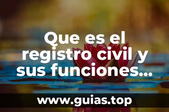 Que es una casa de bolsa y sus funciones 5 Que es el registro civil y sus funciones en mexico