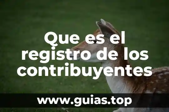 Que es clave de registro 4 Que es el registro de los contribuyentes