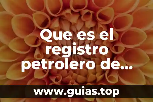 ¿Qué es el número de registro de la UDA? 7 Que es el registro petrolero de potencial espontaneo