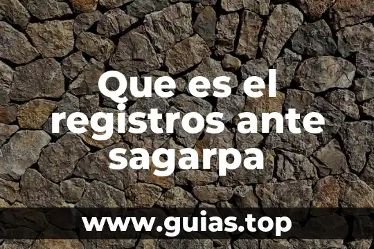 Que es lo wue hace la onu ante la desnutricion 3 Que es el registros ante sagarpa
