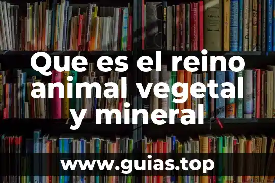 Que es mejor cristal zafiro o mineral 8 Que es el reino animal vegetal y mineral