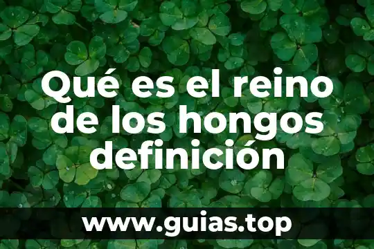 ¿Qué es mejor reino animal o africam safari? 8 Qué es el reino de los hongos definición