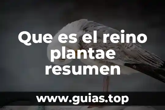 Que es el alias de la tarjeta liverpool 6 Que es el reino plantae resumen