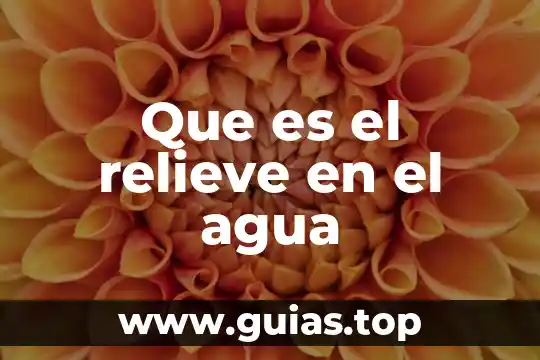 Que es el agua esencial 3 Que es el relieve en el agua