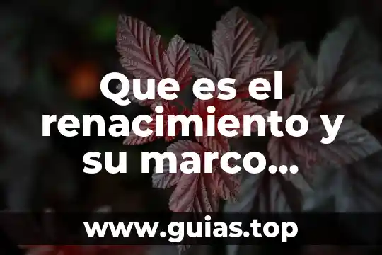 Que es marco muestral en matemática 3 Que es el renacimiento y su marco historico