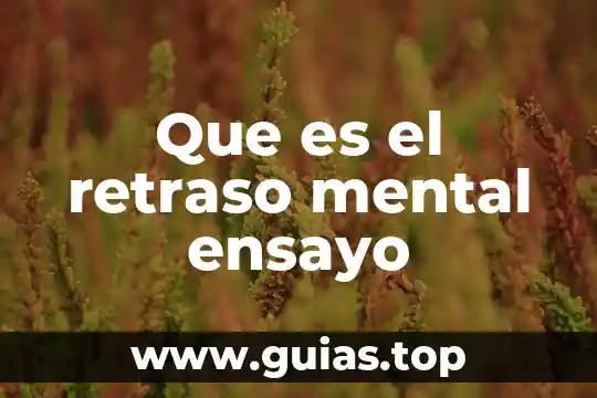Que es el dinero ensayo 5 Que es el retraso mental ensayo