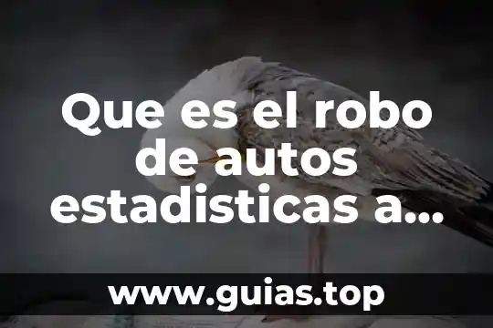 Qué es América Latina según las estadísticas 3 Que es el robo de autos estadisticas a nivel internacional
