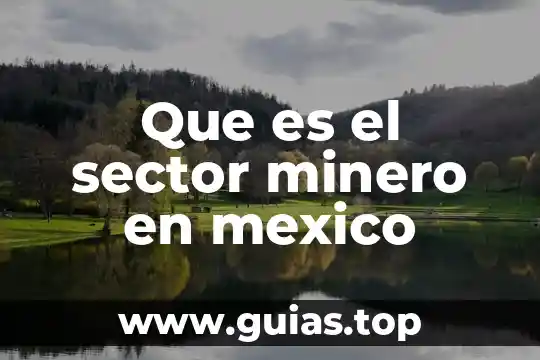 Que es un chiflon en mexico 5 Que es el sector minero en mexico