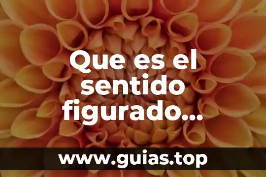 ¿Qué es lenguaje figurado en metáfora? 8 Que es el sentido figurado definicion para niños