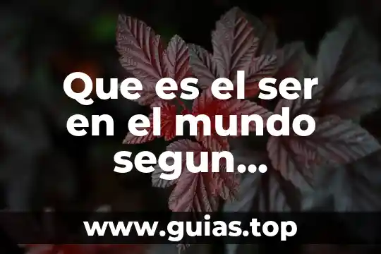 Que es ser naturalizado 3 Que es el ser en el mundo segun heidegger