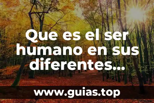 Que es ser obice 8 Que es el ser humano en sus diferentes etapas