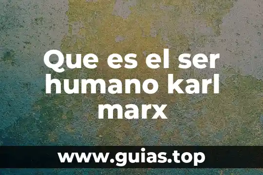 Que es fetichismo de la mercancia segun marx 5 Que es el ser humano karl marx