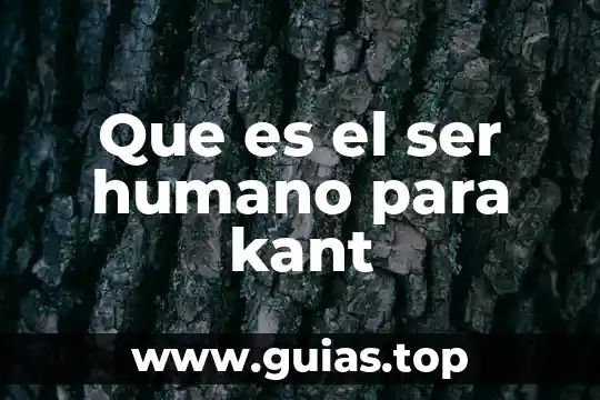 Kant filosofía de la historia que es la ilustración 5 Que es el ser humano para kant
