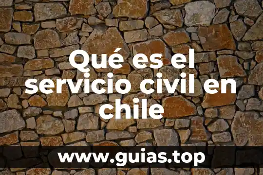 Qué es el chile xcatic historia 8 Qué es el servicio civil en chile