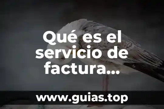 Dinero electronico que es en una factura 7 Qué es el servicio de factura electrónica