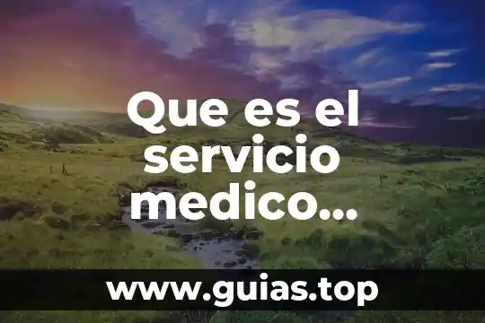 Tutoriales que es un servicio de crro 5 Que es el servicio medico subrogado