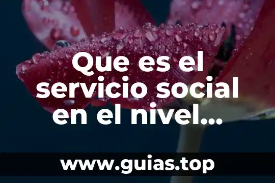 Que es ser superior a alguien 7 Que es el servicio social en el nivel medio superior
