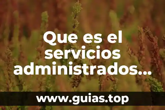 Qué es un compuesto y sus características 7 Que es el servicios administrados de impresión