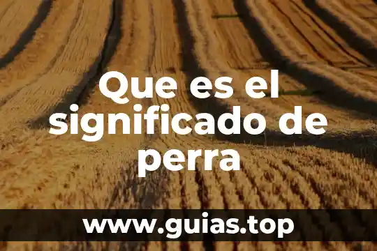 Que es capitular significado 3 Que es el significado de perra