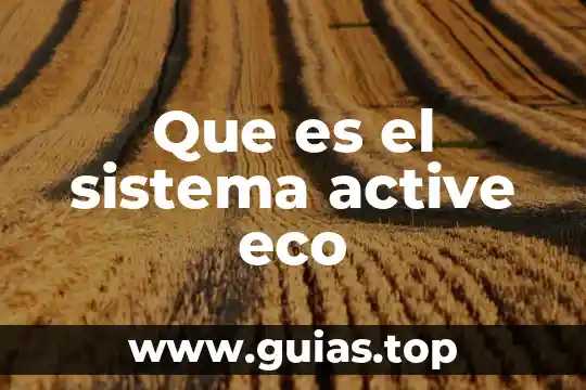 Active Directory qué es y para qué sirve 3 Que es el sistema active eco