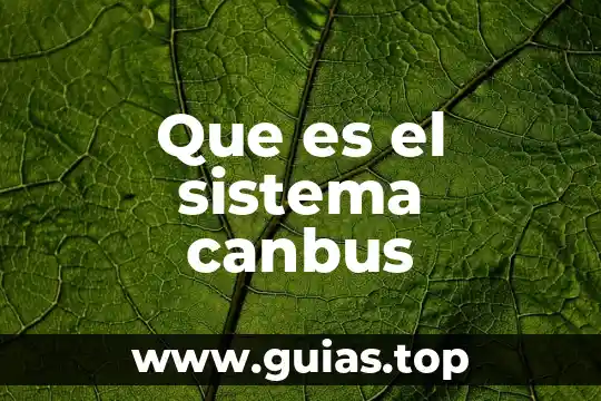 Libra que es fuego o aire 7 Que es el sistema canbus