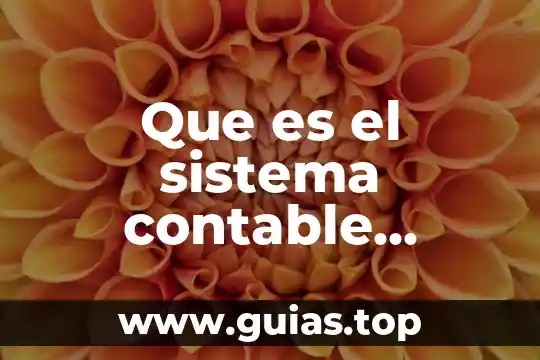 Que es un manual contable importancia tipos de manuales 8 Que es el sistema contable contpaq