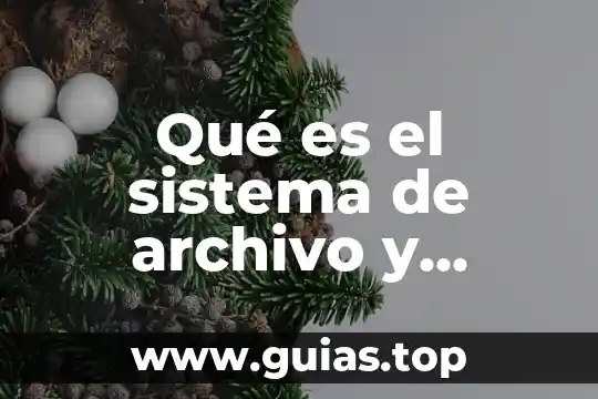 Qué es la polimerización y cuántos tipos existen 7 Qué es el sistema de archivo y cuántos sistemas existen
