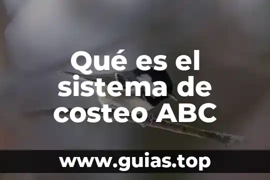 Que es un tren de tratamiento de agua 6 Qué es el sistema de costeo ABC