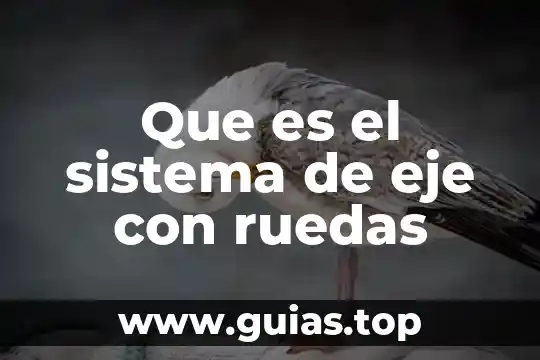 Que es eje de comunicación 3 Que es el sistema de eje con ruedas